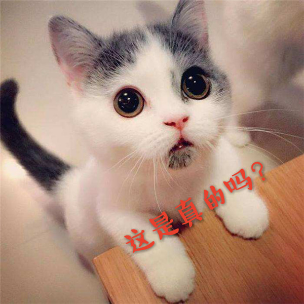 Ӣ��ɼ��������ͬѧ�������������