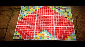 ѧ������������ô��רҵ����ѡ | �ں���ҵǰ��