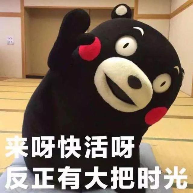 ������ʲô�����������������������������ǹ�˾��